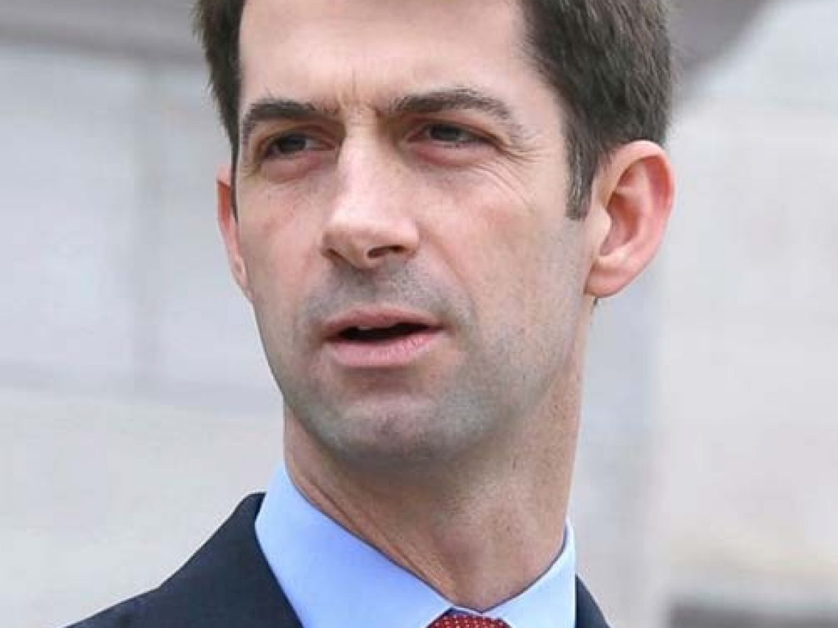 Senator Tom Cotton Bio Age Height Career Gay Wife Net Worth Twitter