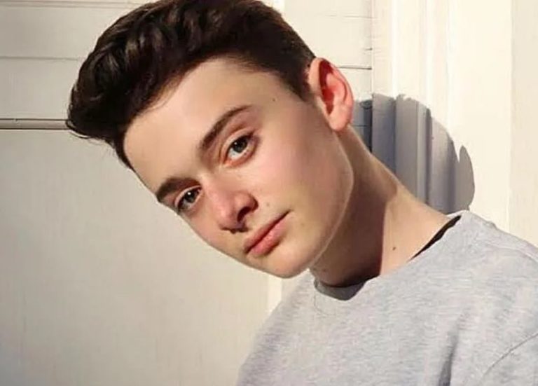 Noah Schnapp Bio Net Worth Salary Age Height Weight Wiki Health