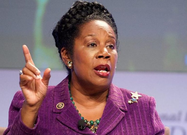 Sheila Jackson Lee Bio, Net Worth, Salary Age, Height, Weight, Wiki